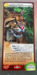 59 – Panthère nébuleuse
