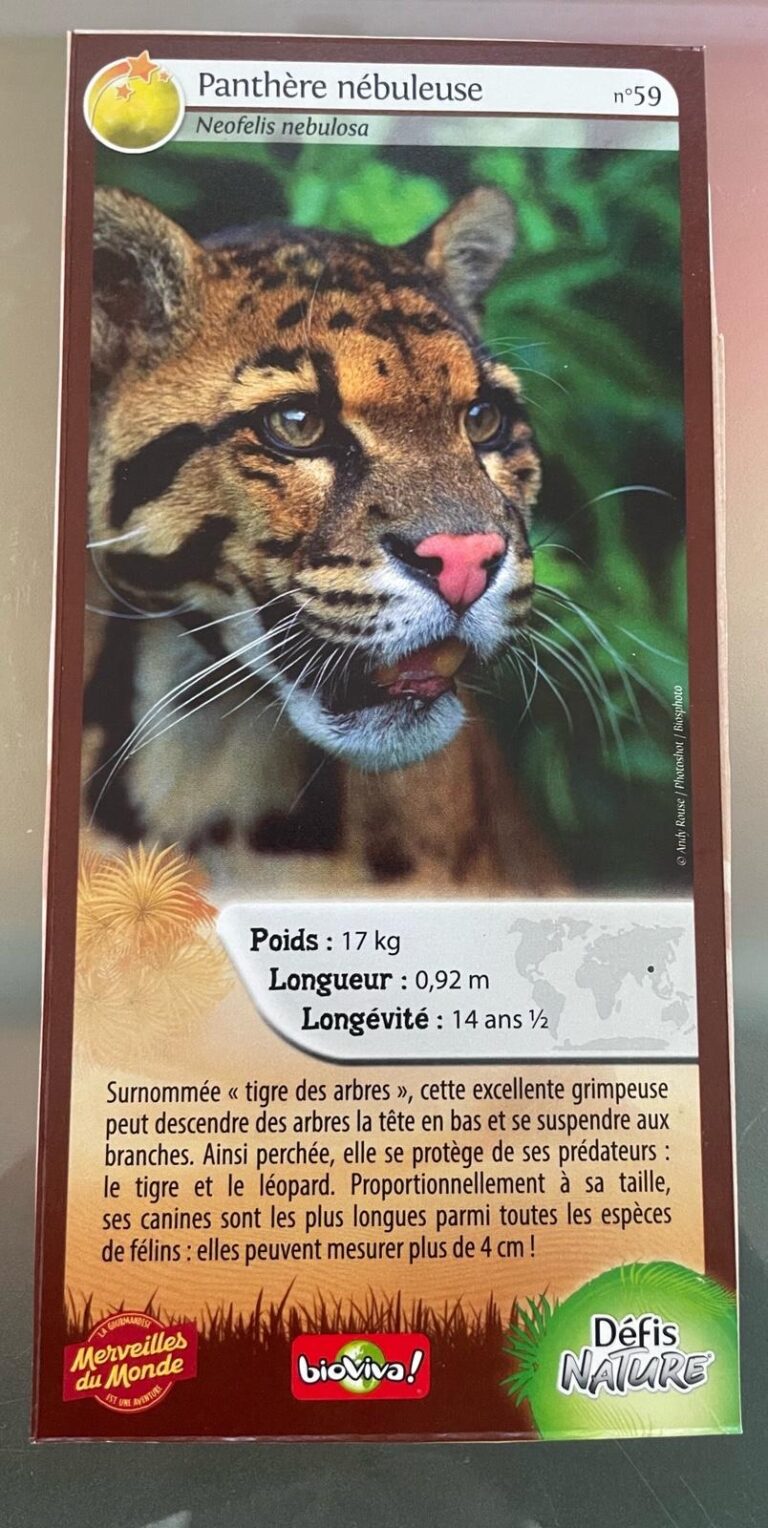 Face de la carte