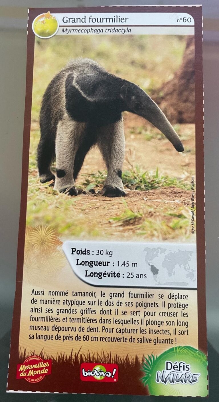 Face de la carte