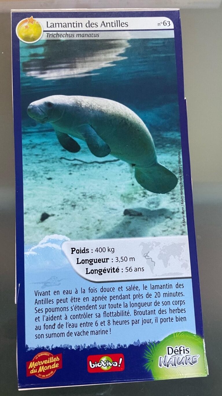 Face de la carte