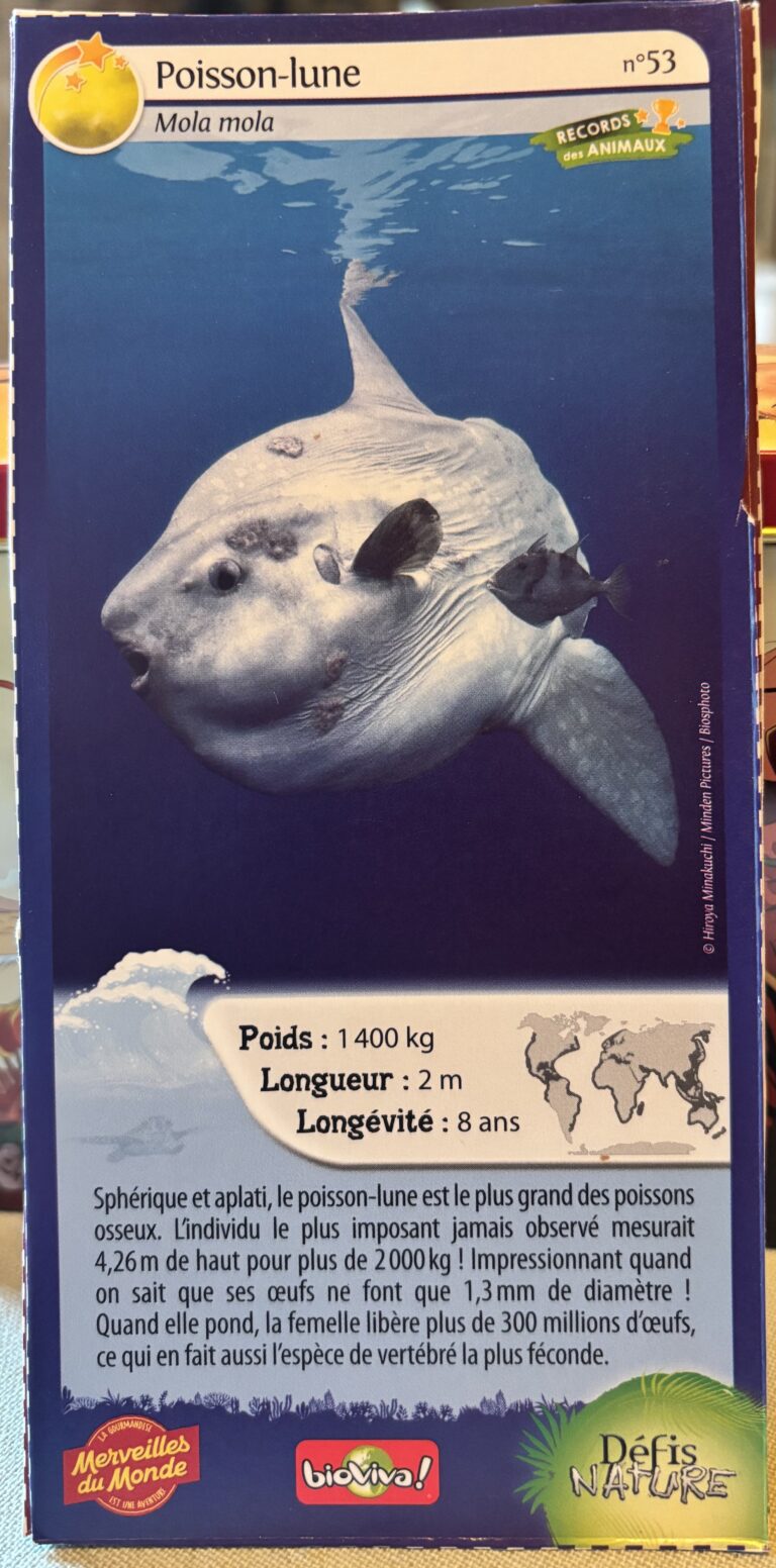Face de la carte