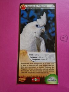 57 – Cacatoès des Philippines