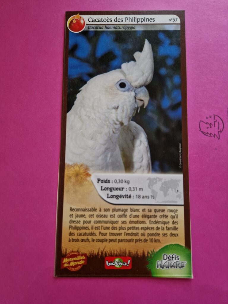 Face de la carte